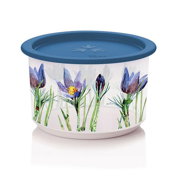 Контейнер «Цветущий сад» (575 мл)